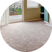 Carpet Cleaning