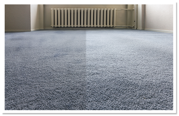 Nichol's Carpet Cleaning before and after