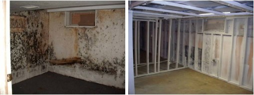Mold remediation before and after โ heavy mold growth removed and walls stripped to studs