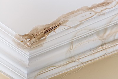 Water-damaged ceiling and crown molding with active staining and peeling